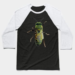 Worker Honey Bee 08 Baseball T-Shirt